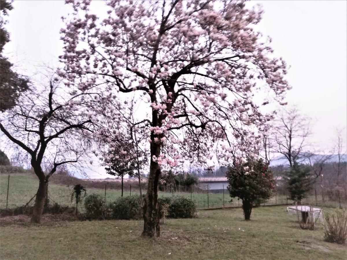 Apartmán Casale Cadeloro Nebbiuno Exteriér fotografie